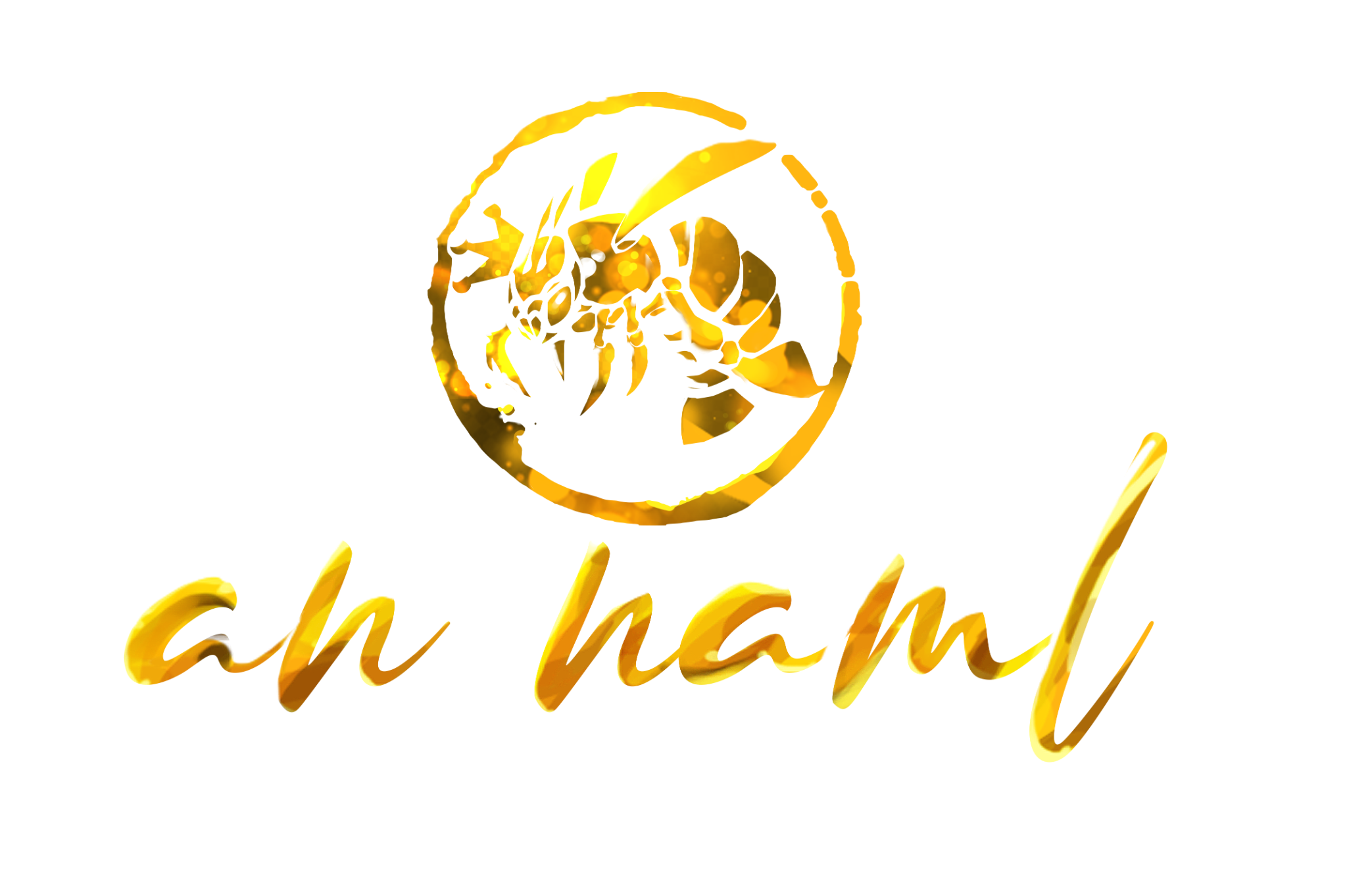 annaml logo